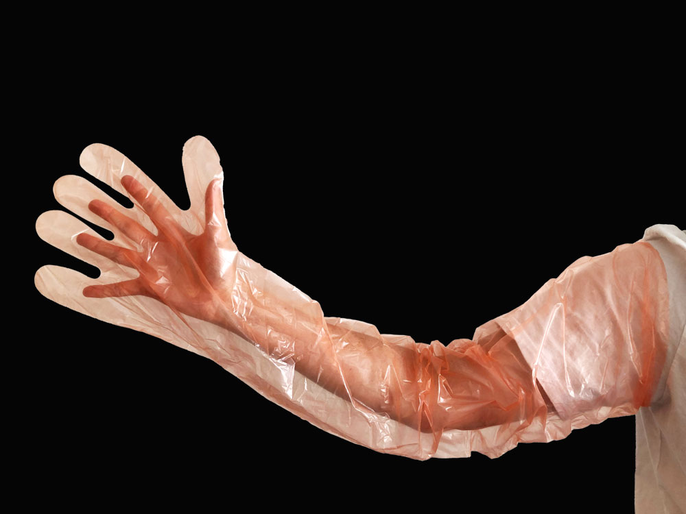 Artificial insemination glove