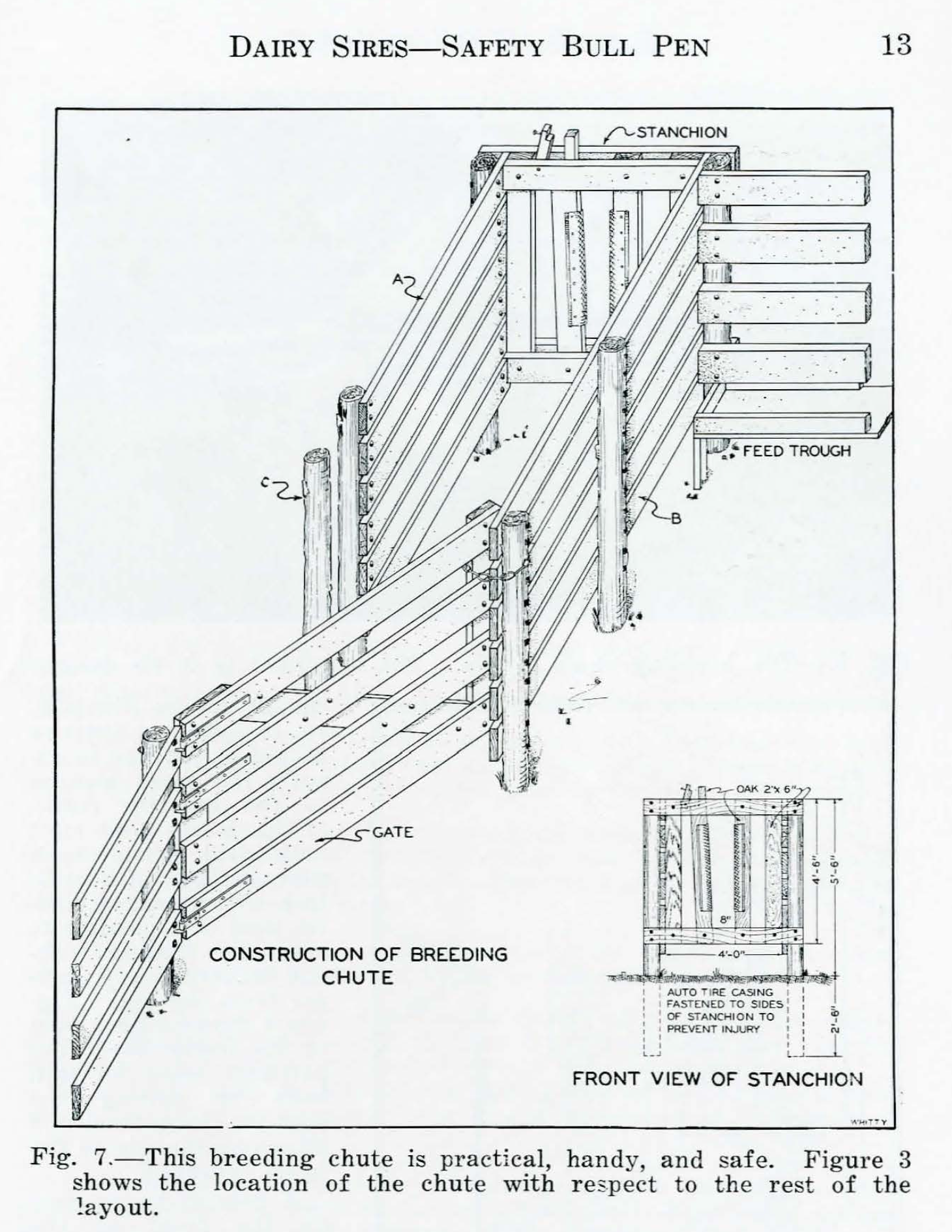 Illustration of a breeding chute