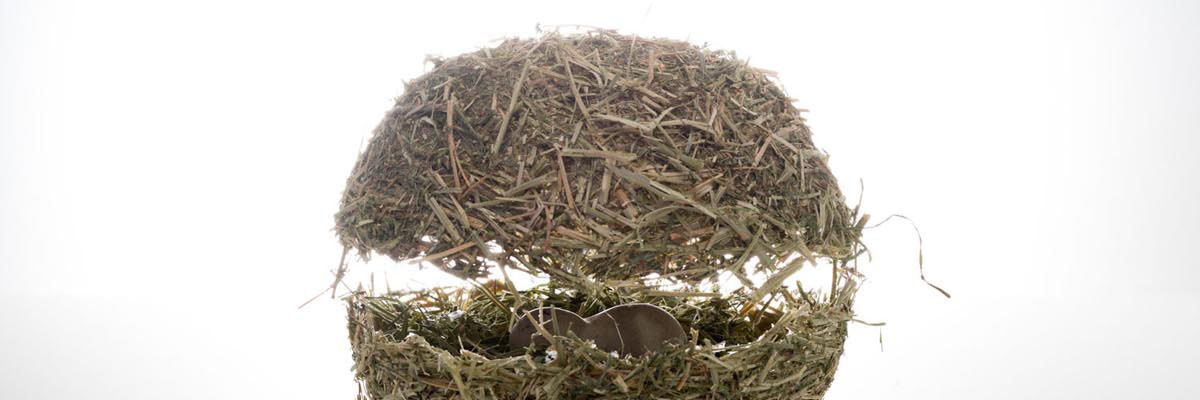 A halved sphere with an object between the two halves