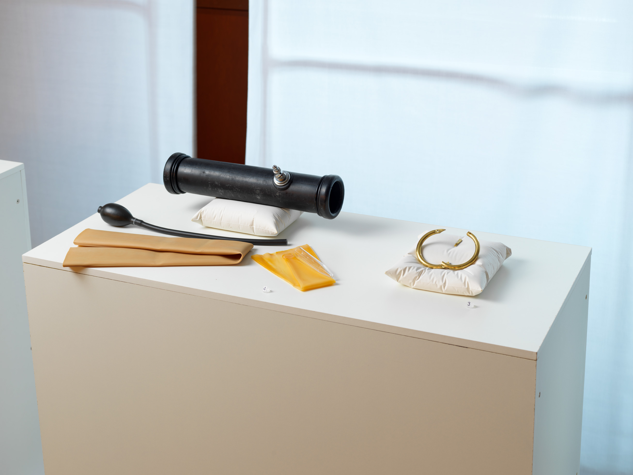 Display of a bovine artificial vagina and a bull nose ring