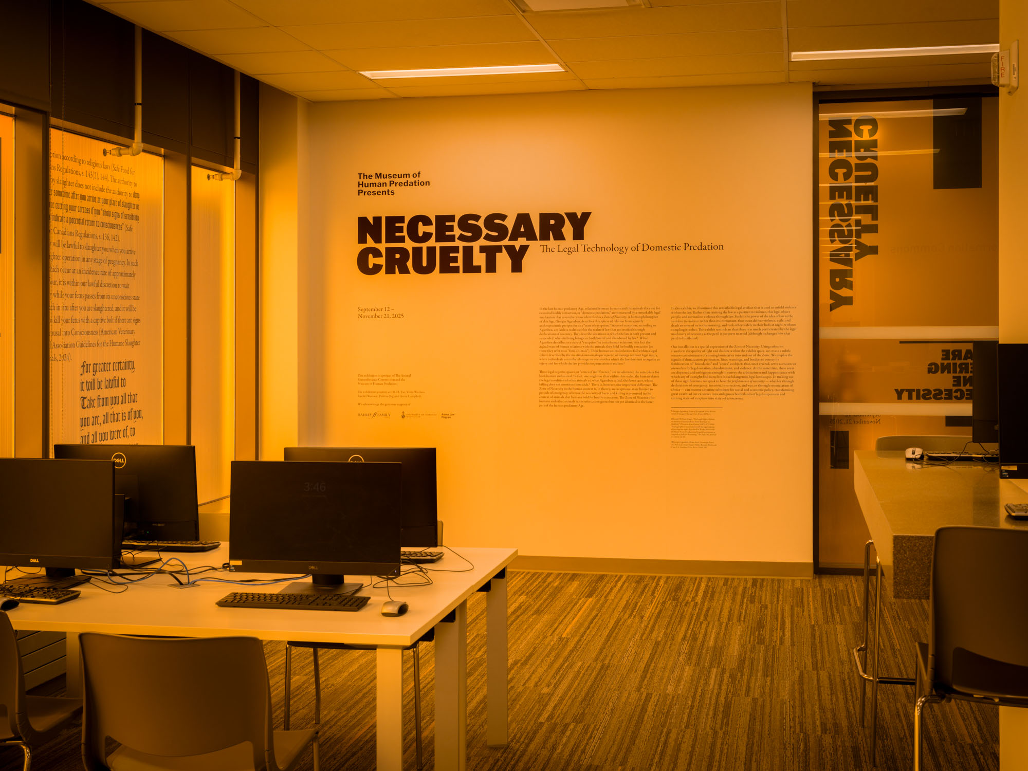 Title wall for the Necessary Cruelty exhibition