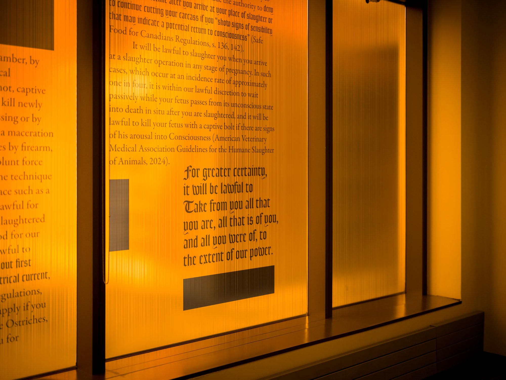 A close up of The Act of Necessity text window vinyl.