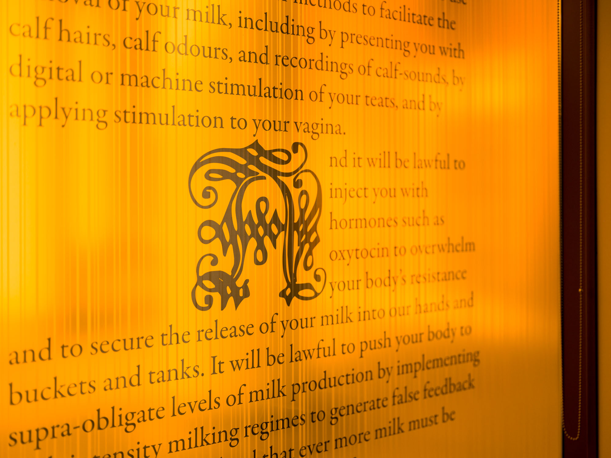 A close up of The Act of Necessity text window vinyl.