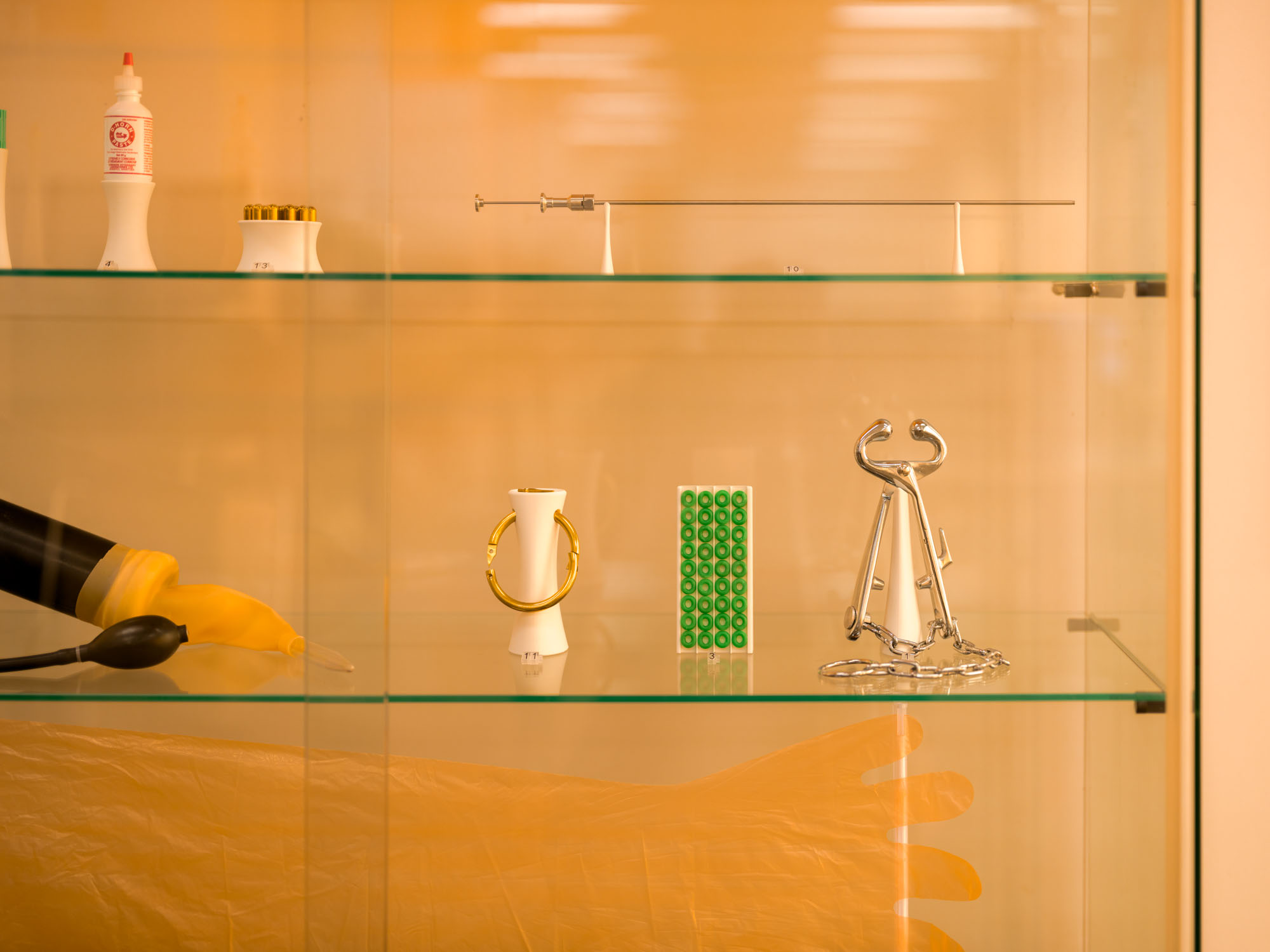 Artifacts from the Museum of Human Predation in a vitrine.