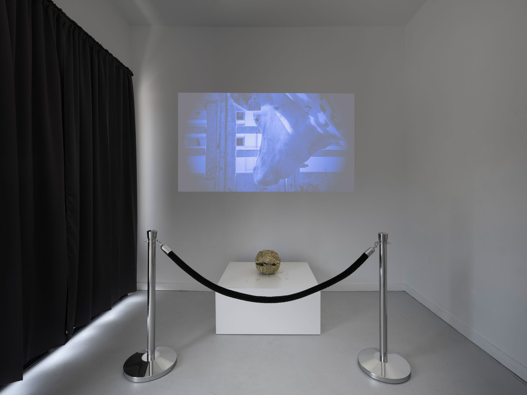 Sphere made of hay behind a velvet rope with a video projection behind it