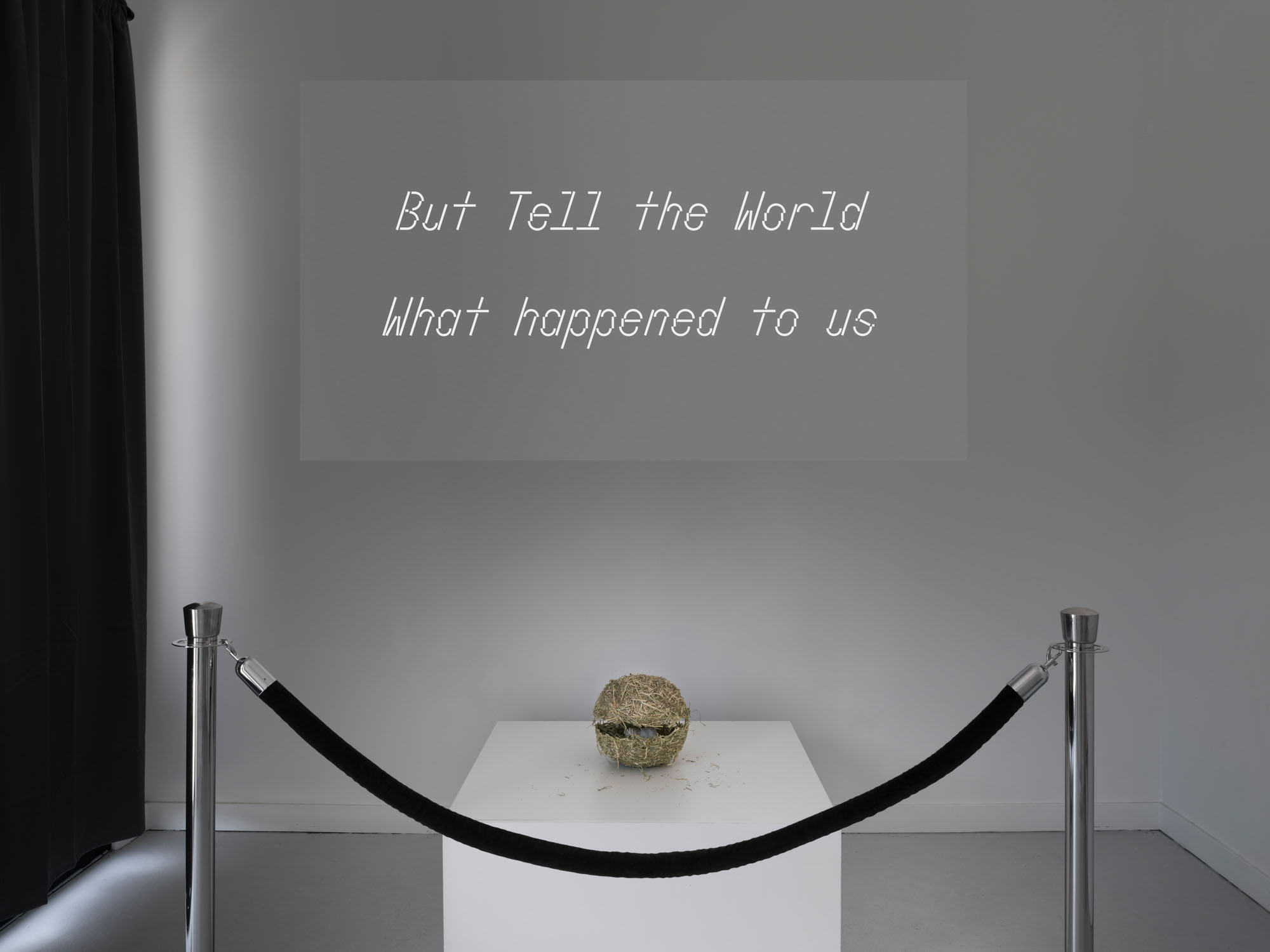 Hay sphere behind a velvet rope and a video projection behind it with the word 'But Tell the World What happened to us''