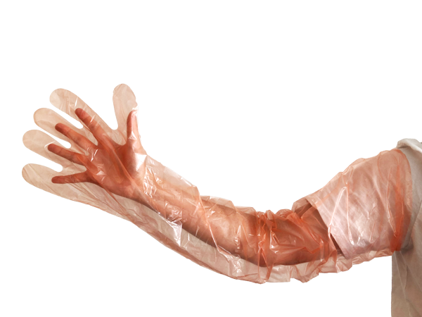 Artificial insemination glove